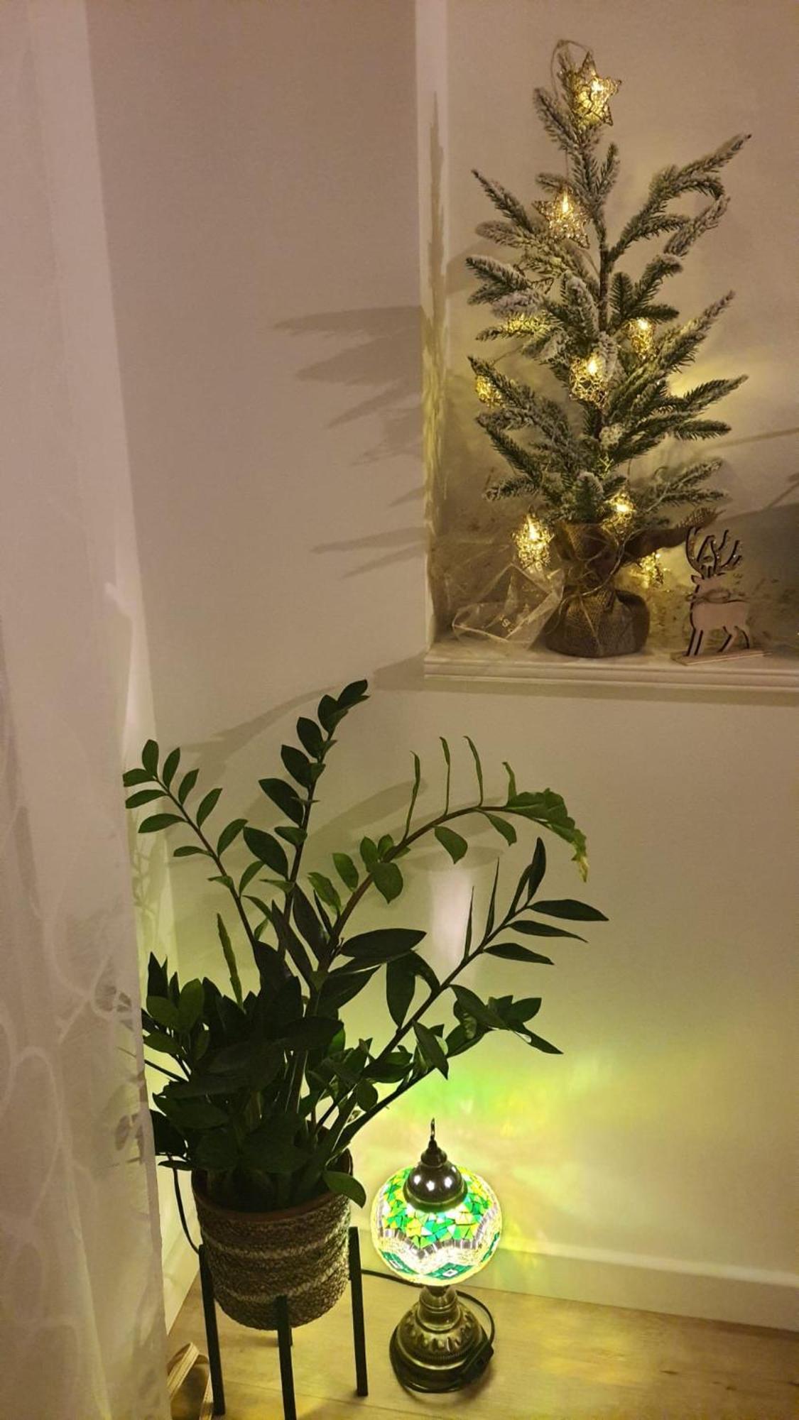 Apartman Lili Spalato Esterno foto