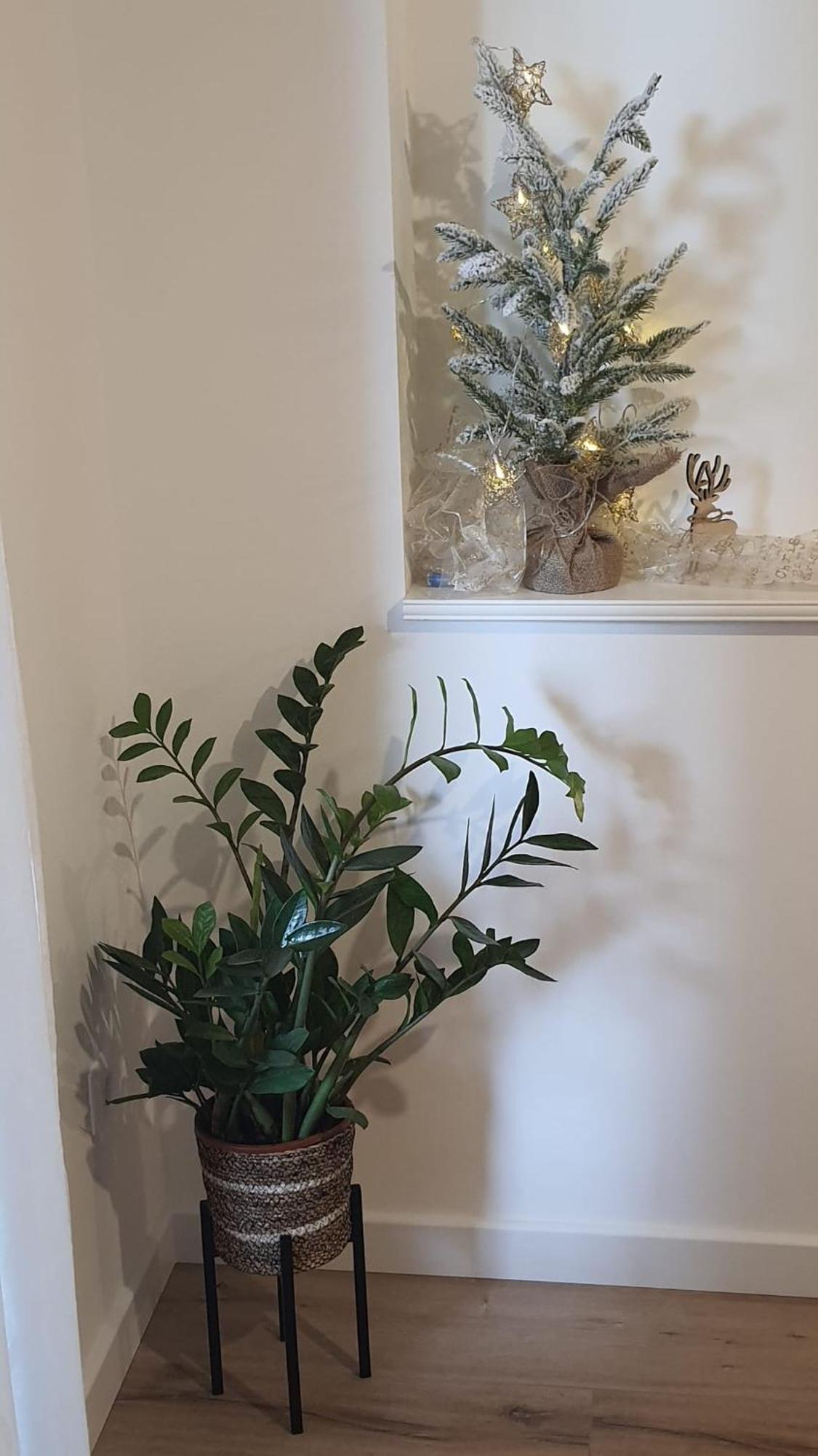 Apartman Lili Spalato Esterno foto